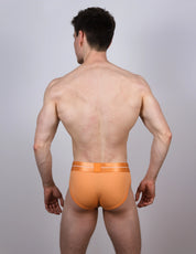 Underwear Experts, brief of man, just wear briefs, mens bulge, gayest underwear men's briefs.