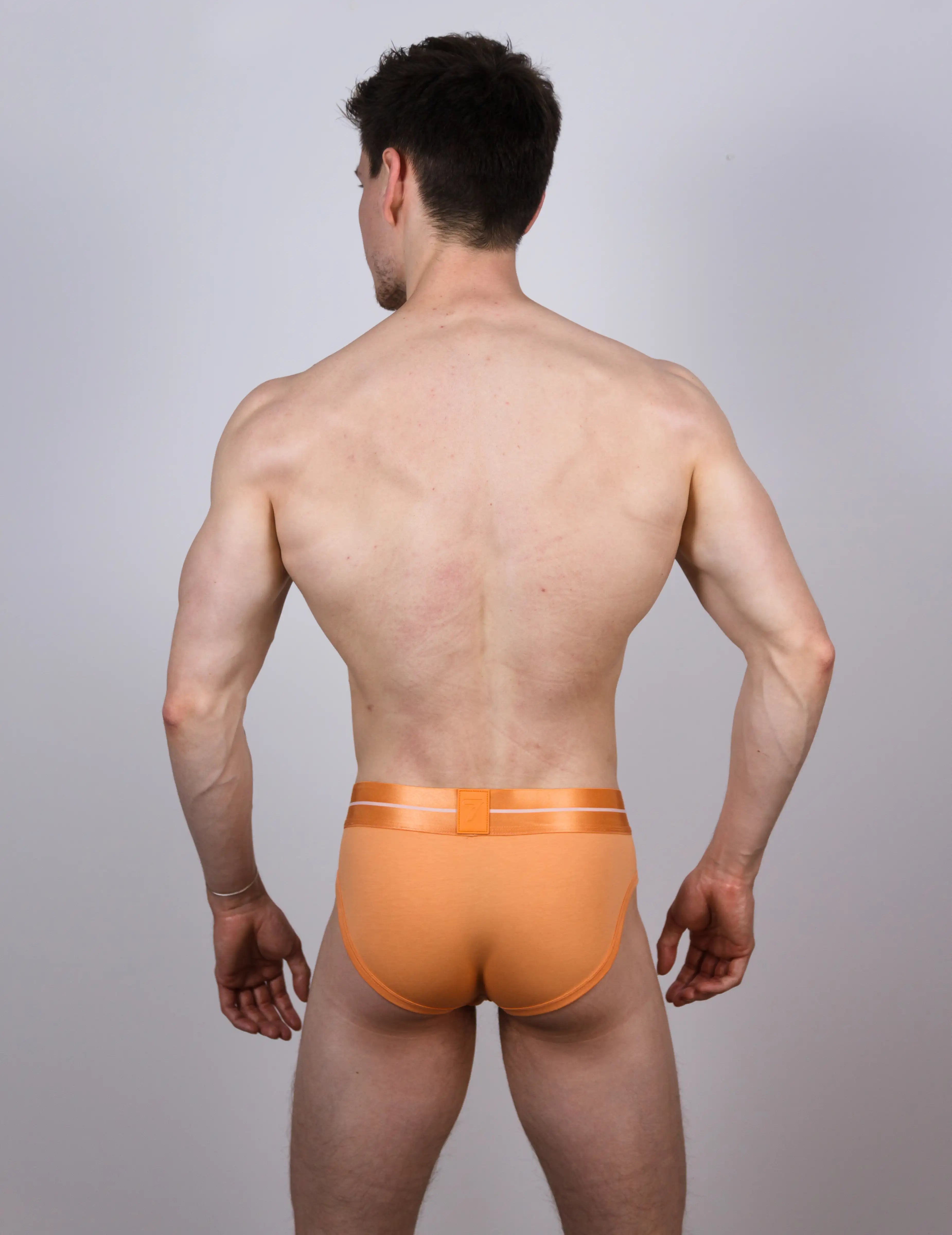 Underwear Experts, brief of man, just wear briefs, mens bulge, gayest underwear men's briefs.