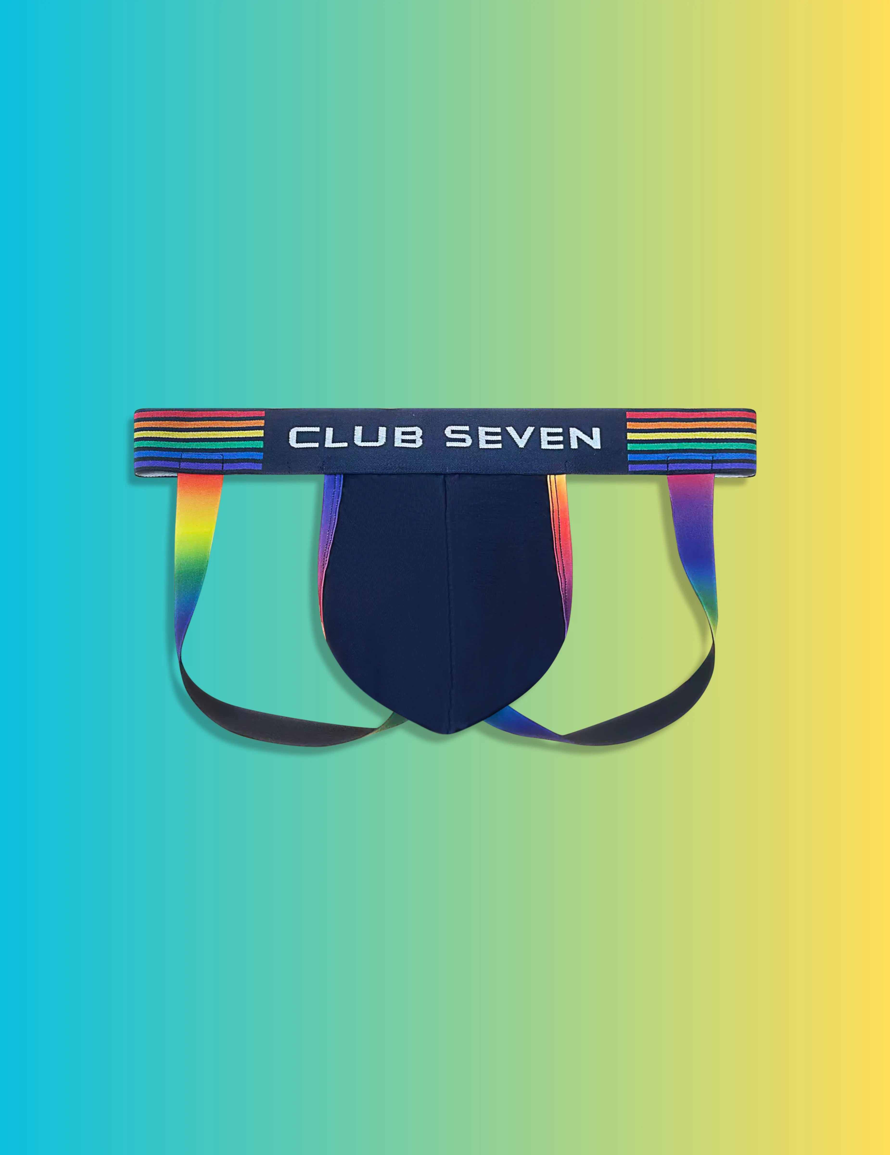 Gay pride underwear jockstraps