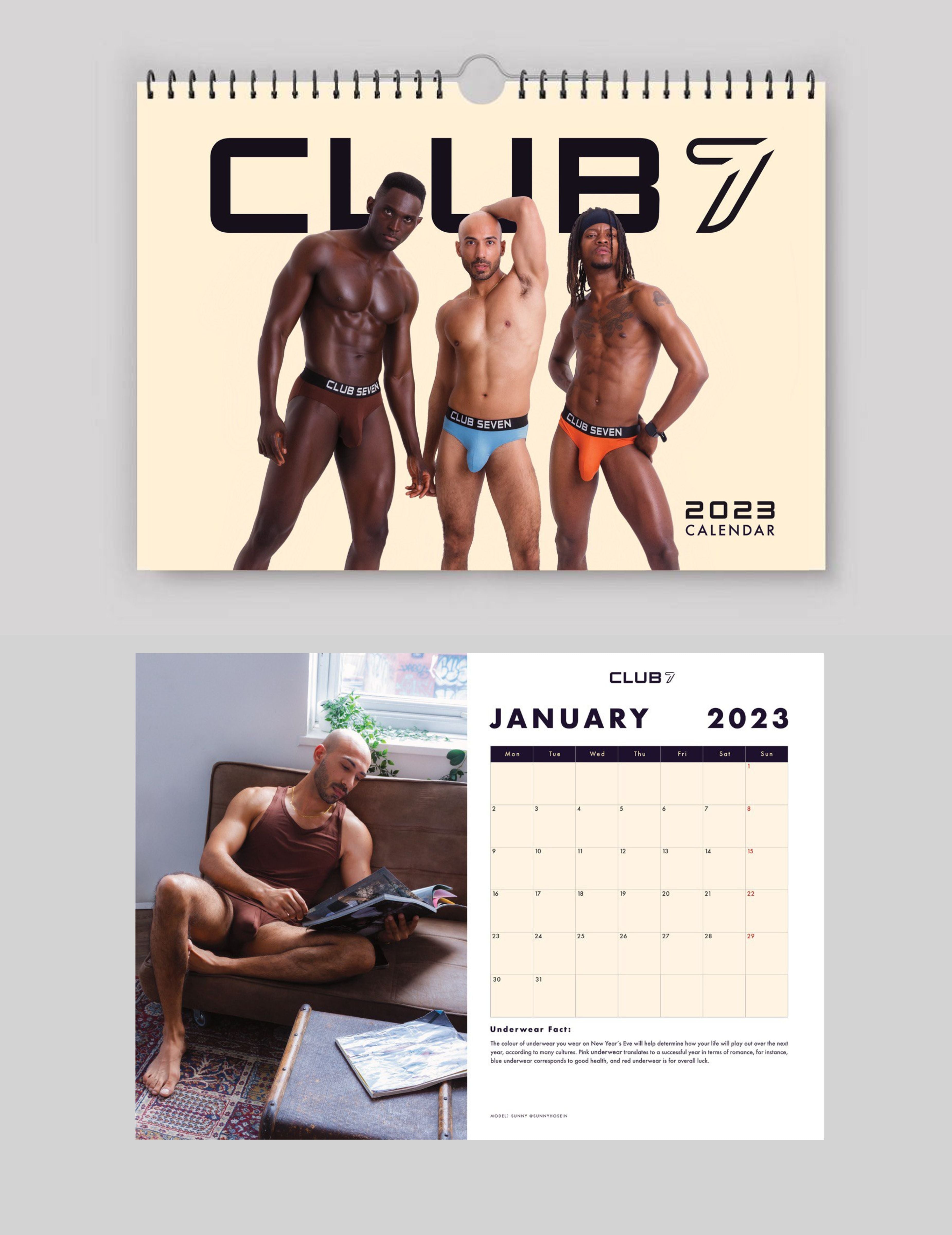 Underwear 2023 Wall Calendar