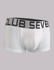 mens underwear briefs in white